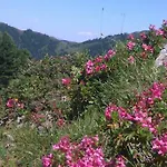 招待所 盖斯莱温旅馆 盖洛斯