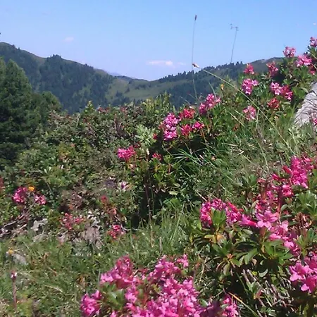 Penzion Gaestehaus Geislerin Gerlos