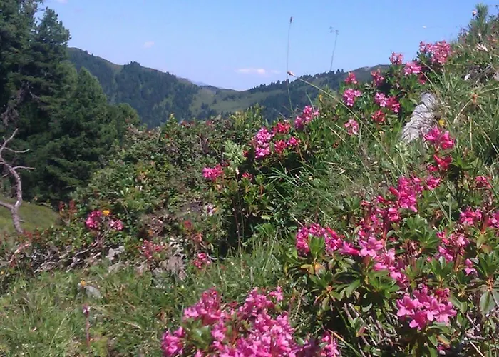 招待所 盖斯莱温旅馆 盖洛斯