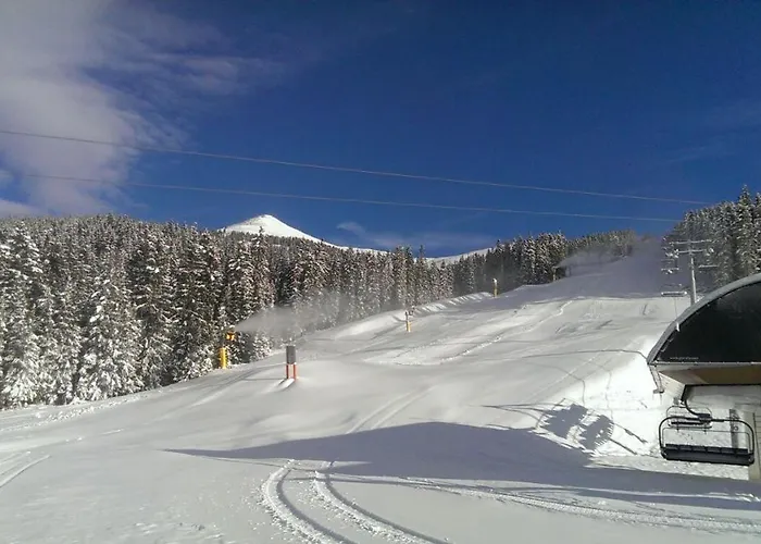 招待所 盖斯莱温旅馆 3*